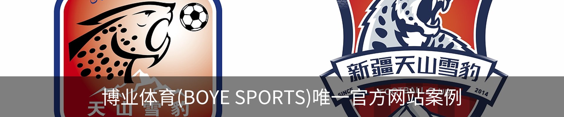 博业体育(BOYE SPORTS)唯一官方网站案例